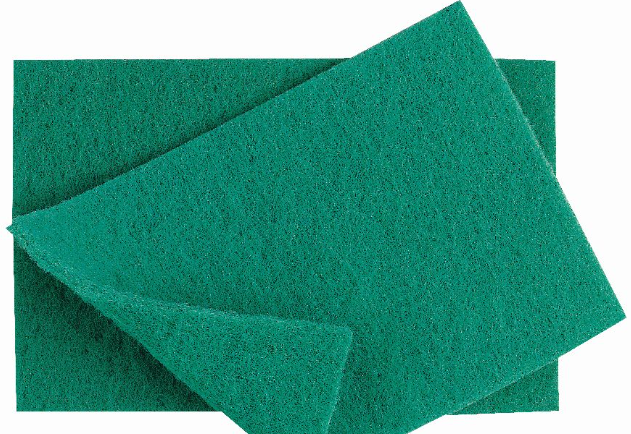 Scourer Pad 15x23cm Pack of 10 Green (826)