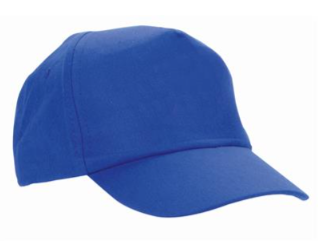 Royal Cap with Greyfriars Embroidered Logo