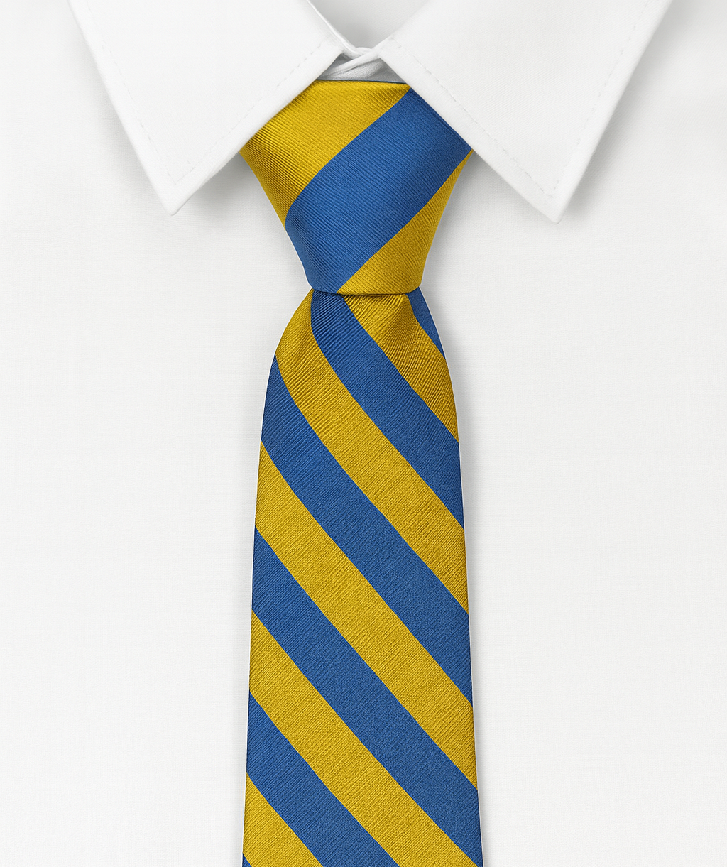 Eastgate Academy Royal/Gold Clip On Tie